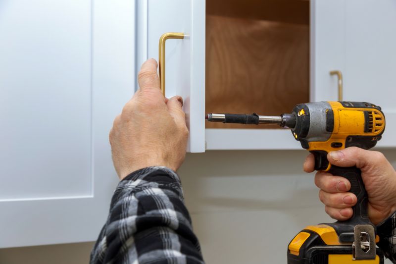 Cabinet Door Repair detail